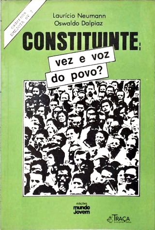 Constituinte: Vez E Voz Do Povo?