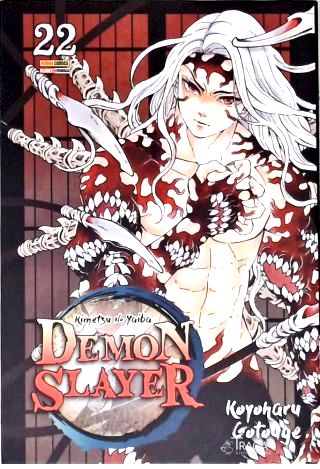 Demon Slayer: Kimetsu No Yaiba - Vol. 22