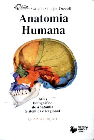 Anatomia Humana