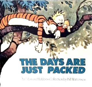 Calvin And Hobbes: The Days Are Just Packed