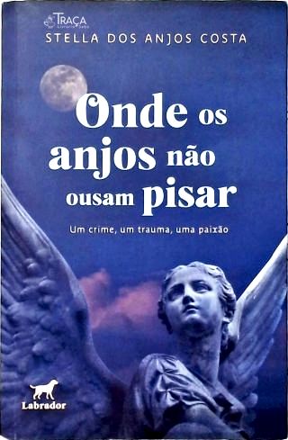 Onde os Anjos Não Ousam Pisar